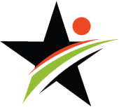 NorthStar favicon