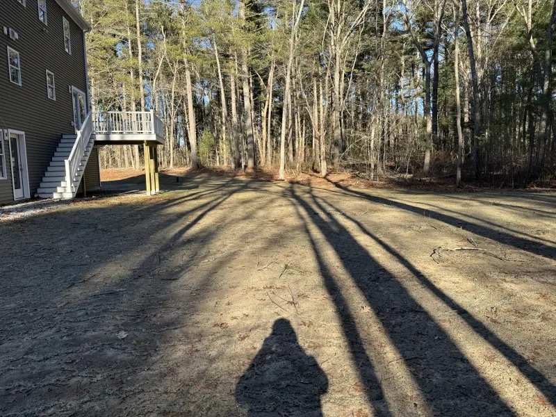 A shadow on a bare yard with trees and a house with stairs on the left side.
