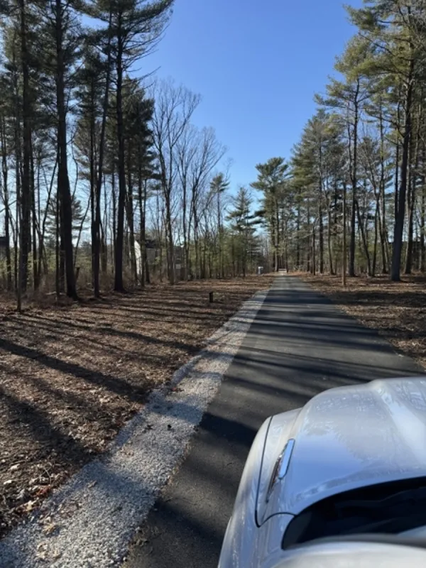 Car parked on a paved road through a forest with tall trees under a clear blue sky.